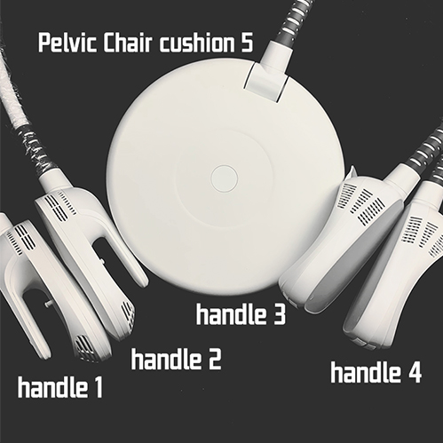 Renasculpt Emshape Machine at Home