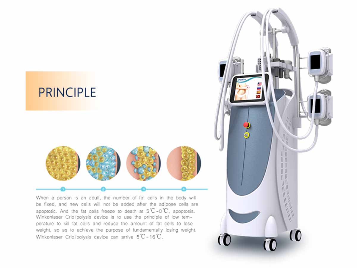 multifunctional cryo machine